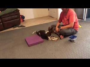 Shaping 2o2o on balance pad for the first time