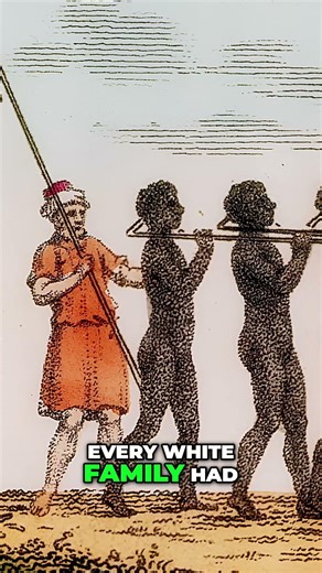 Confronting Historical Guilt: The Antebellum Legacy Explained #shorts