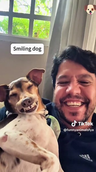 Dogs Imitating Human Actions: Hilarious Pet Moments