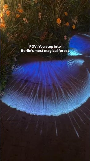 Tony Dark Eyes – Energy | Berlin’s Kinetic Forest 🌲✨