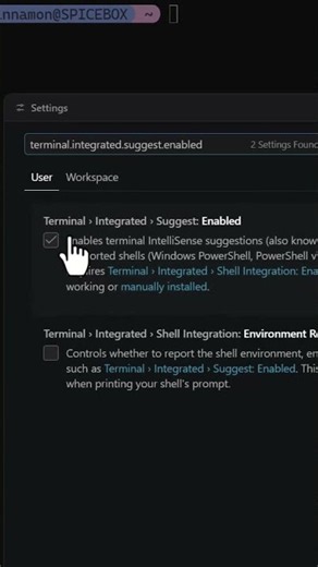 Be a terminal pro with IntelliSense 🧠