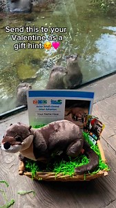 8.8K views · 120 reactions | Jacksonville Zoo and Botanical Gardens on Reels | Facebook
