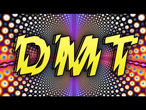 DMT: What You Need To Know