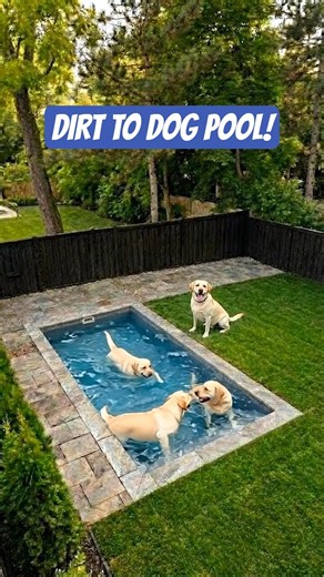 Building the Ultimate Custom DOG POOL! 🐾 (Time-Lapse)