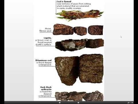 How Fossil Fuels Are Formed