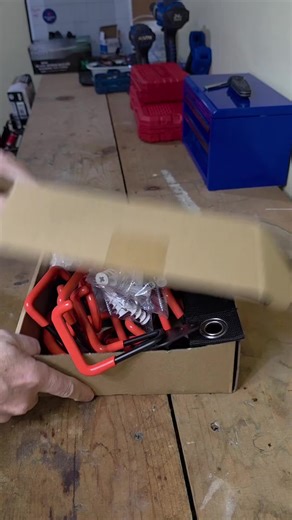 Efficient Garage Organization with Heavy-Duty Hooks