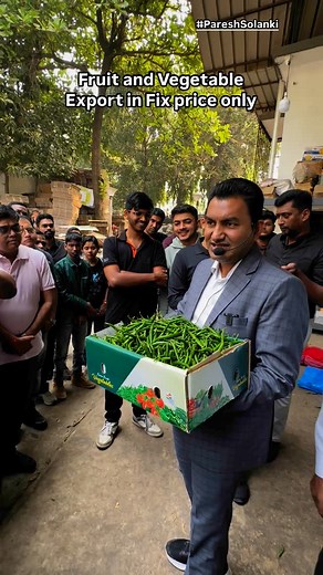 Paresh Solanki on Instagram: "How to Export Green Chilli from India Step by Step Process 1. Source High-Quality Green Chilli • Collaborate with trusted farmers to procure fresh and premium-quality green chillies. • Ensure the chillies meet export standards in terms of size, color, and freshness. 2. Sorting and Grading • Conduct sorting and grading to separate the chillies based on quality and size. • This step ensures uniformity and makes your product more appealing to buyers. 3. Cold Storage fo