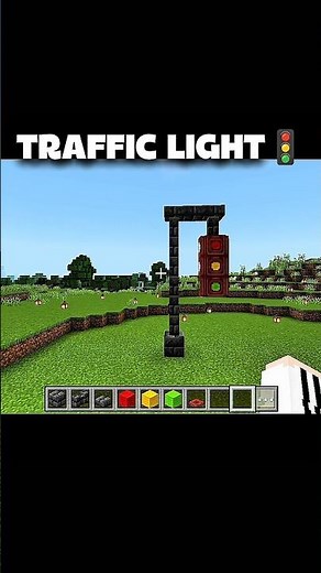 “This Traffic Light Will SHOCK You! 🚦😳”