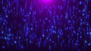 Digital Binary Code Rain Abstract Data Stock Footage Video (100% Royalty-free) 3885536517 | Shutterstock
