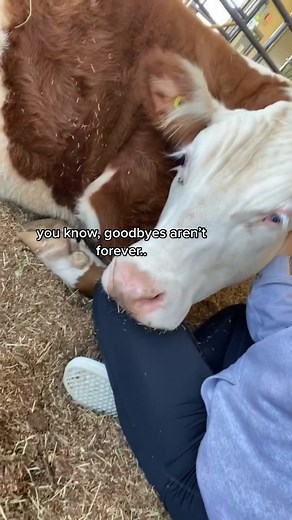 why do i do this to myself