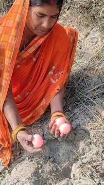 Amazing village woman Poisonous Snake eggs picks,Cooking Venomous Snake Egg Recipe by eating village