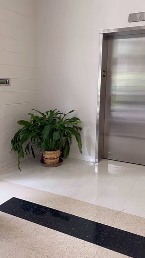 Our Vivace stroller was designed to simplify the lives of busy parents. Seamlessly collapse and store with ease, perfect for on-the-go families seeking convenience and style! | Peg Perego USA