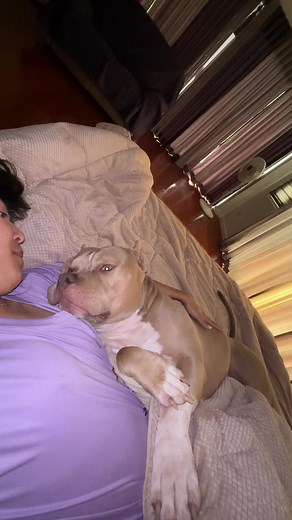 I know you understand what I feel mom 💕 #doglife