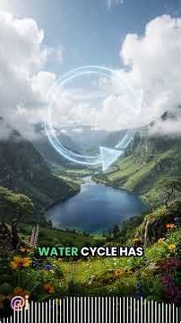 The Four Stages of the Water Cycle