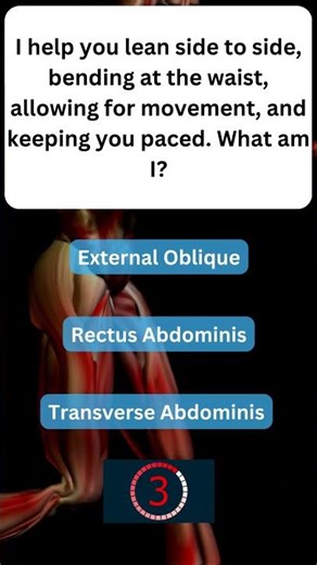 Fun Fact About Your Muscles You Won’t Believe! 💪 #MuscularSystem 42