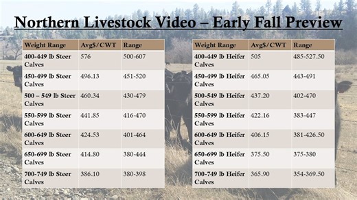 $362 Feeder Futures, $2,700 Calves...Where is the top in this cattle market? | Northern Ag Network