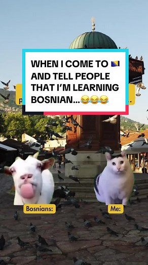 Bosnians get too excited when they hear that someone is learning Bosnian. 😂 • • • #funny #humor #comedy #bosnianlanguage #bosnians #bosniaandherzegovina #balkan #learningbosnian #speakingbosnian #bosnianteacher #bosnianlessons