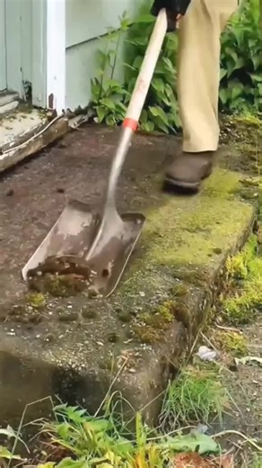 vector clean on TikTok