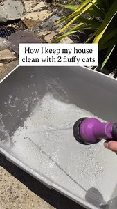 Cleaning up after my cats is basically another full-time job 😅 Between the fur, the litter, and the chaos they leave in their wake, I’m always cleaning something. Some days it feels like I just vacuumed, and somehow the tumbleweeds of fluff are back. But I truly wouldn’t trade it for the world! Let me know if you want me to make a video on cleaning hacks I swear by 🤍🧼🧹 | Interiors With Cats
