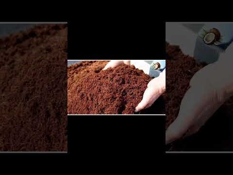 Introduction to Coco Peat: Sustainable Soil Replacement Explained