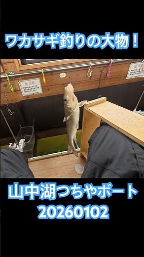 ワカサギ釣りで掛かった大物！ #fishing #ワカサギ釣り #山中湖