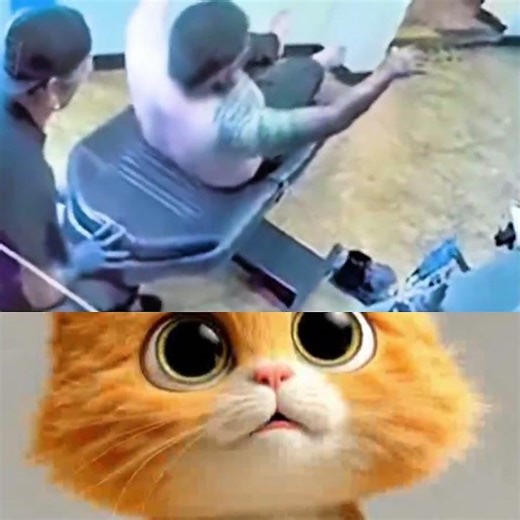 😂 Chair FAIL! Man Falls Off Adjustable Chair 😱💥 #funnyfails #epicfail #comedyshorts