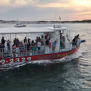 21 reactions | Wondering what a Dolphin Sunset Cruise in Destin FL would be like? Here's a little view. Call 850-269-2329 to save your seat. . #familymemories #destinsnorkel #destinflorida #gulfofmexico #todoindestin #ilovedestinflorida #summervacation #emeraldcoast | Destin Snorkel | Facebook