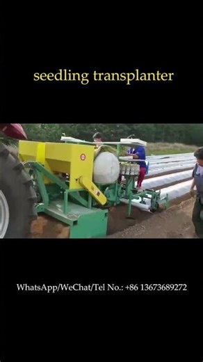 Tractor-type transplanter with ridging, seedling, watering and mulching #transplanter #transplants