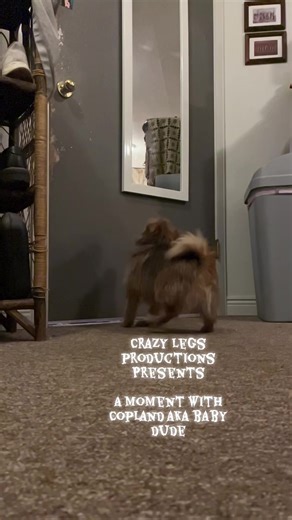 Rusty Shackleford (@thesecondhandalorian724)’s videos with Matlock - Theme from the Television Series - Dominik Hauser