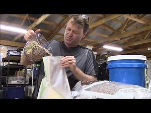 Pinto Beans - Long Term Storage using a New 7mil Mylar Bag