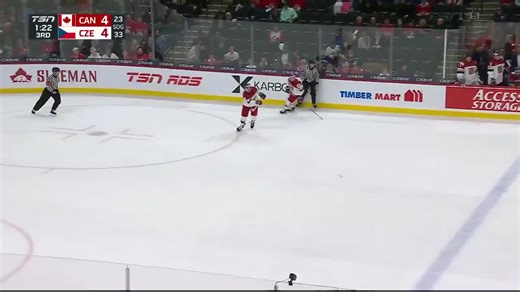 СБОРНАЯ ЧЕХИИ 🇨🇿 ВЫБИВАЕТ КАНАДУ 🇨🇦 С МЧМ 😱 Чешская команда переиграла кленовых листьев со счетом (6:4) и вышла в финал, где там их ожидает сборная Швеции.