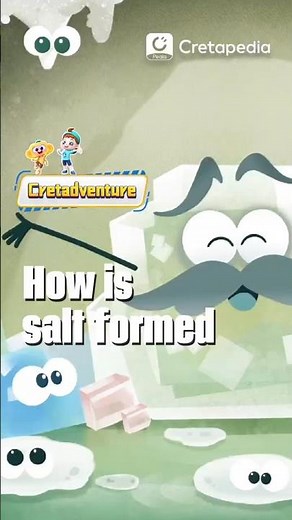 How salt is formed?