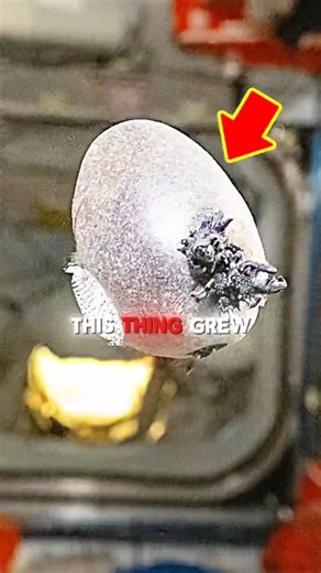 NASA's Alien Potato 🥔 #shorts #space