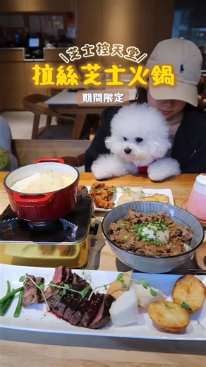 🍼𝕆𝕓𝕚🐾˖° on Instagram: "💬留言[Obi] DM詳細地址同73折優惠俾你✨ 🧸記得follow Obi~ 方便收到DM啊💌 ❄️呢個天氣最啱食芝士火鍋🫕😋 加埋杯士多啤梨奶昔奶蓋雪山 🏔️ 仲唔係芝士控嘅天堂🧀 下午茶超抵 仲要包嘢飲 🧃 餐廳環境乾淨舒服 狗狗仲可以一路盪鞦韆 一路陪人類食飯🐶 附近有停車場 消費完仲有兩三個鐘免費泊車🚗💨 🗓️73折優惠期到11月30號 𓌉◯𓇋 𝕄𝕖𝕟𝕦⨾ ⊹ 雪花芝士火鍋🧀🫕 -一上茶就見到鍋入面有好多好多芝士🧀 而配料有medium rare西冷牛扒、炸雞、雞肉丸、八爪魚、法式多士同薯仔 d芝士仲拉絲拉到勁高 😋 ⊹和風牛肉溫泉蛋丼飯🍛 $48 -雖然係下午茶 但係份量都唔細🤩肥牛嫩滑洋蔥嘅甜味配合得唔錯 加上溫泉蛋🥚 口感更加滑順！ ⊹蛋中的焦糖燉蛋🍳 $48 -表面焦糖香脆 ✨下面嘅燉蛋勁滑嫩 食完鹹嘅嘢再食依個啱啱好！ ⊹士多啤梨奶昔奶蓋雪山🍓 $48 -奶蓋勁厚 飲到最後仲剩好多🤩士多啤梨味道鮮甜 唔係嗰種化學味 感覺好自然！ ‧₊° 🅁🄰🅃🄸�