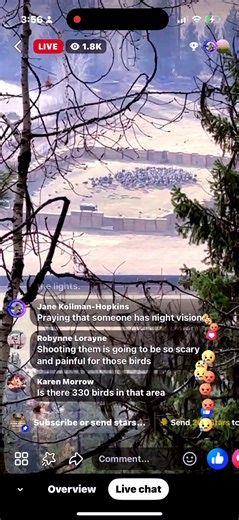 @Jim Kerr live from the mountain! 😭😭💔 #shame #sad #disgrace #heartbroken #ridiculousness @universalostrichfarms @ProudtobeFringe @TheRudeAwakeningTour