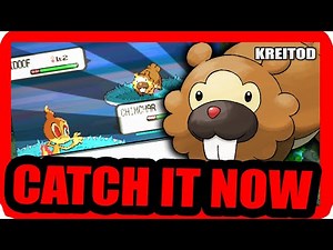 🦫 How to GET BIDOOF in Pokemon DIAMOND, PEARL & PLATINUM (Early Location Guide!) 🌟