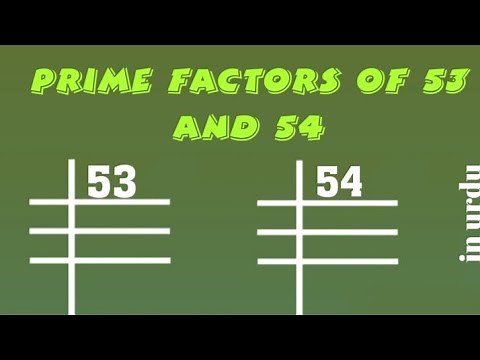 Prime Factors of 53 and 54 - Prime Factorization