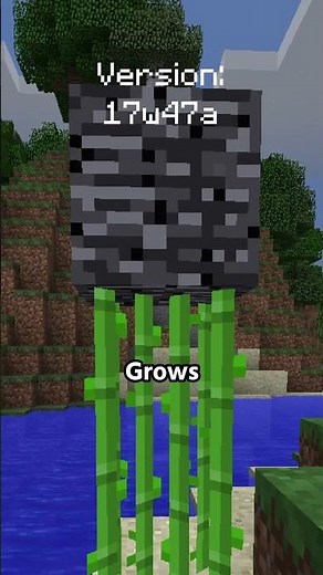 10 Unexpected ways to break Bedrock #minecraft