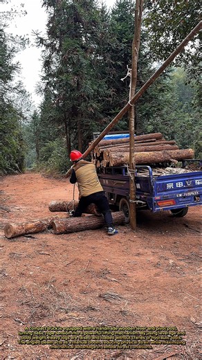Smart Log Lifting System – Simple Physics, Massive Efficiency