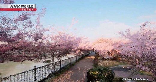 Point Clouds for 3D Visualizations - Science View