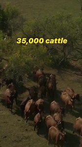 Ford F-Series® trucks are built for anything. Stop in to test drive one of our Built Ford Tough® trucks today. | Legacy Ford