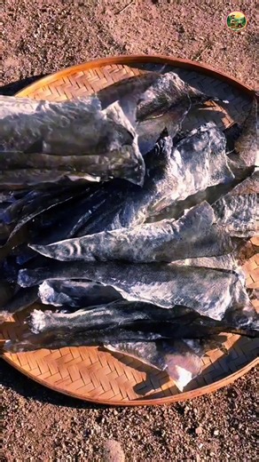 1.7K views | The Hezhe People’s Ancient Craft: Turning Fish Skin into...