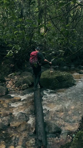 Mount Yong Yap - G7 Ranking 6th Highest peak in Peninsular Malaysia 2168M #yongyap #g7summit #g7 #gunung #hiking
