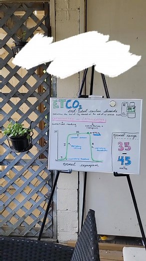 Understanding ETCO2: A Guide to Capnography in Veterinary Medicine