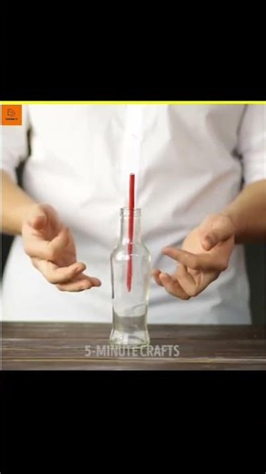 Amazing Science Experiment You Can Try at Home!