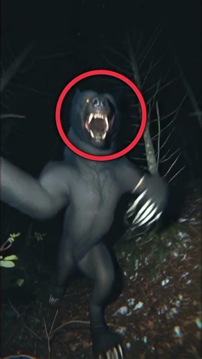 Caught on camera The Alpha Werewolf #werewolf