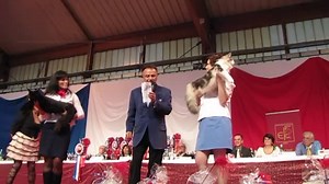 Bas-Rhin: 200 chats de toute l'Europe présentés à l'Exposition féline internationale de Holtzheim