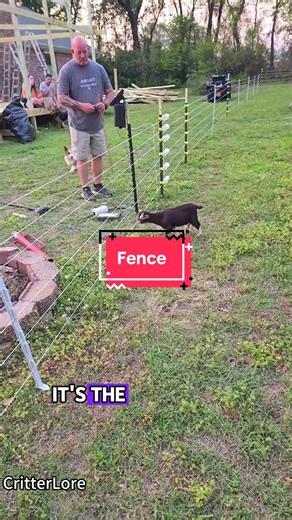 Farm Fence Lessons: What Every Farmer Learns Once
