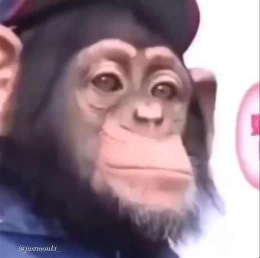 Justamonké on Instagram: "When you and homie show up late to practice 🐵 C:@jayreid1313"