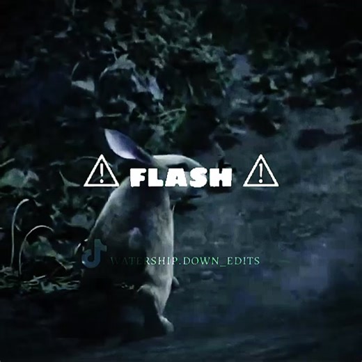 Dandelion 💛 #watershipdown ⚠FLASH⚠